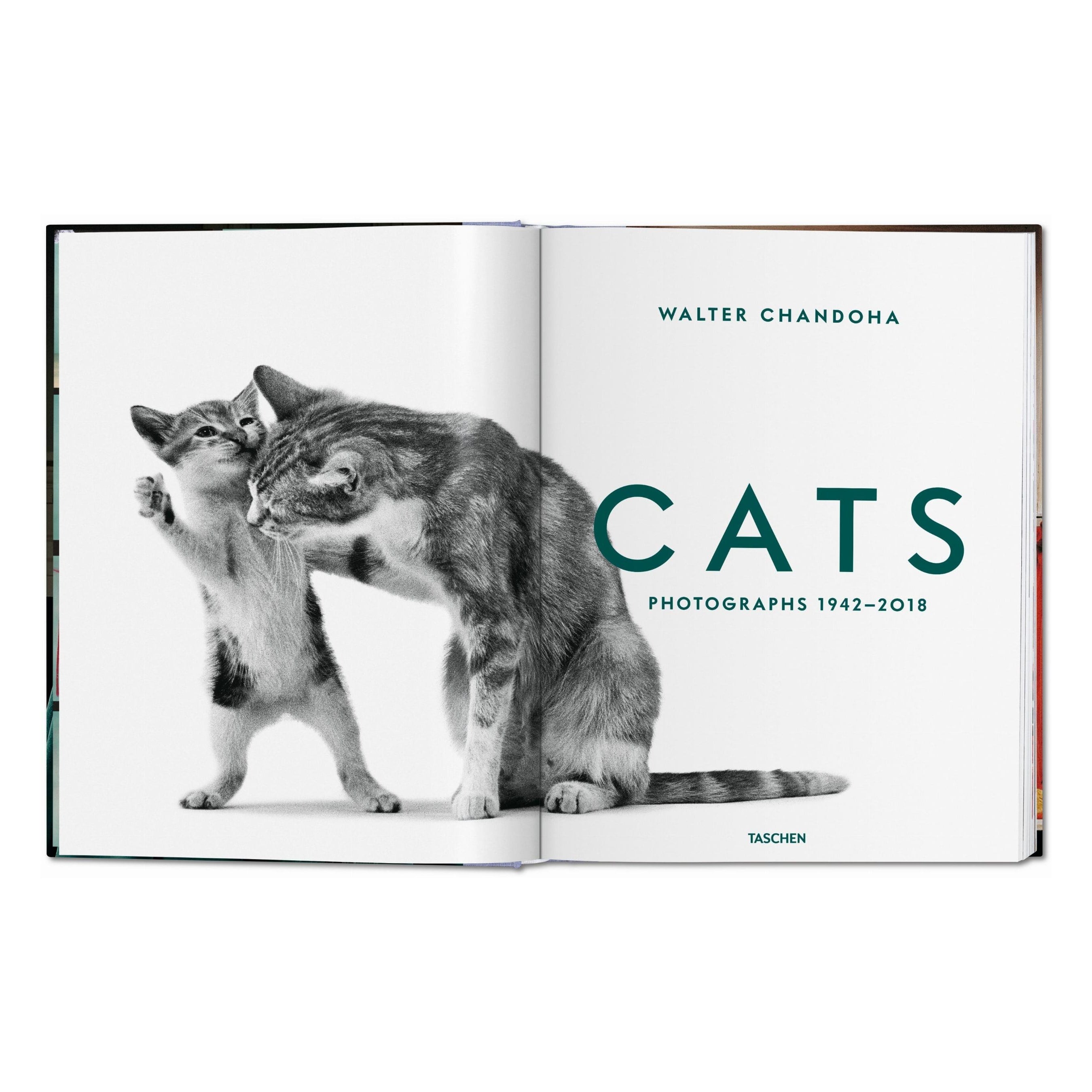 Walter Chandoha: Cats, Photographs 1942–2018 (German, French, English)