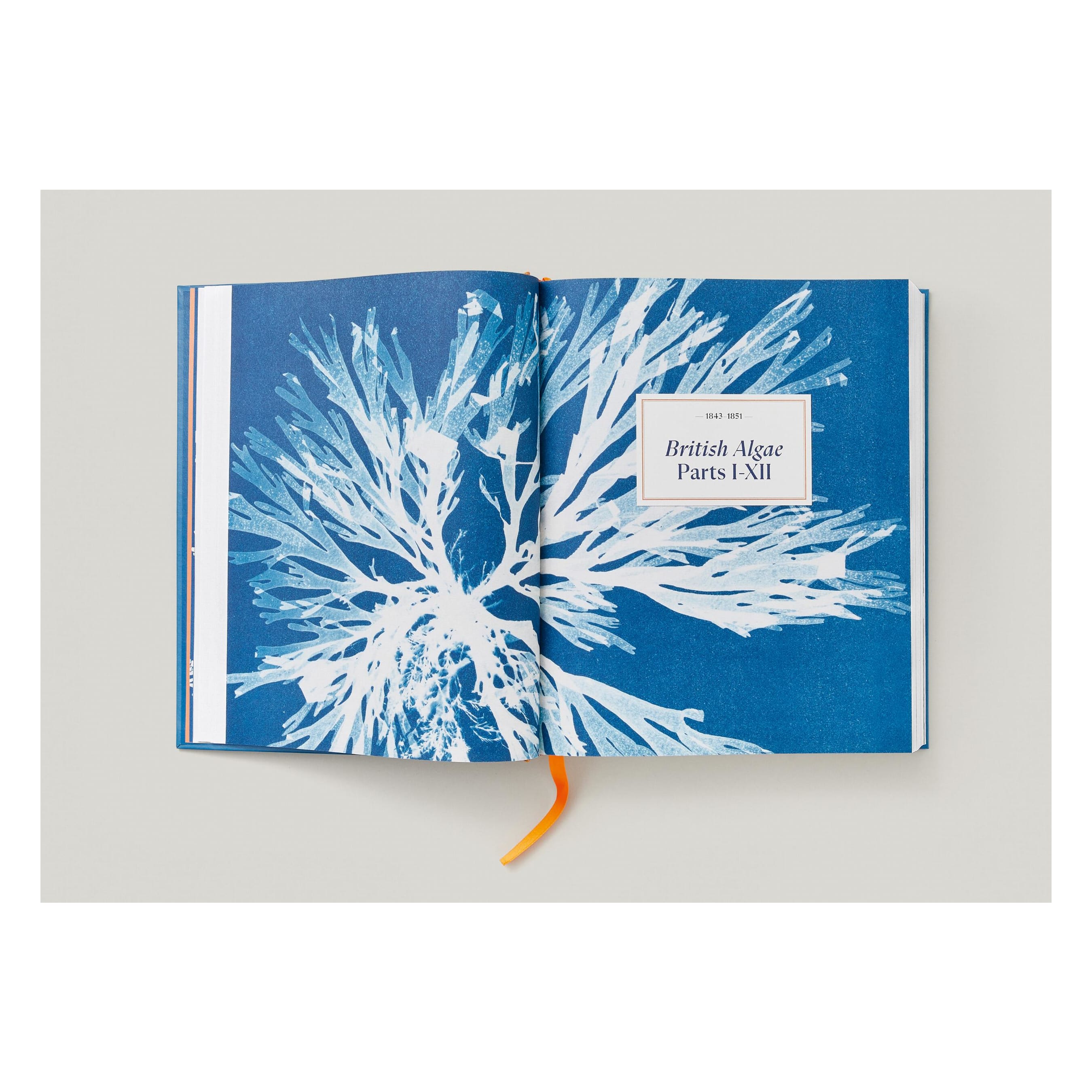 Anna Atkins. Cyanotypes (German, French, English)