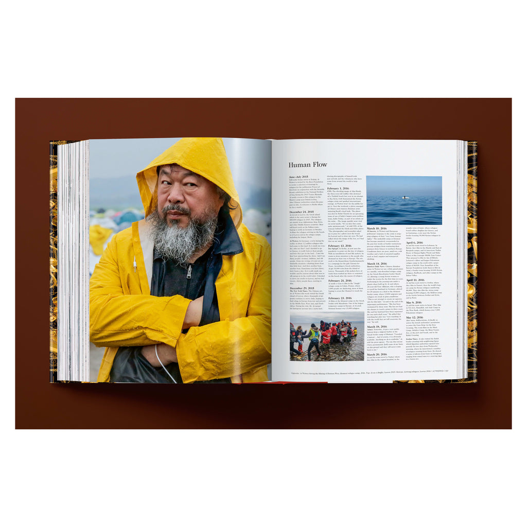 Ai Weiwei: Updated Edition (German, French, English)