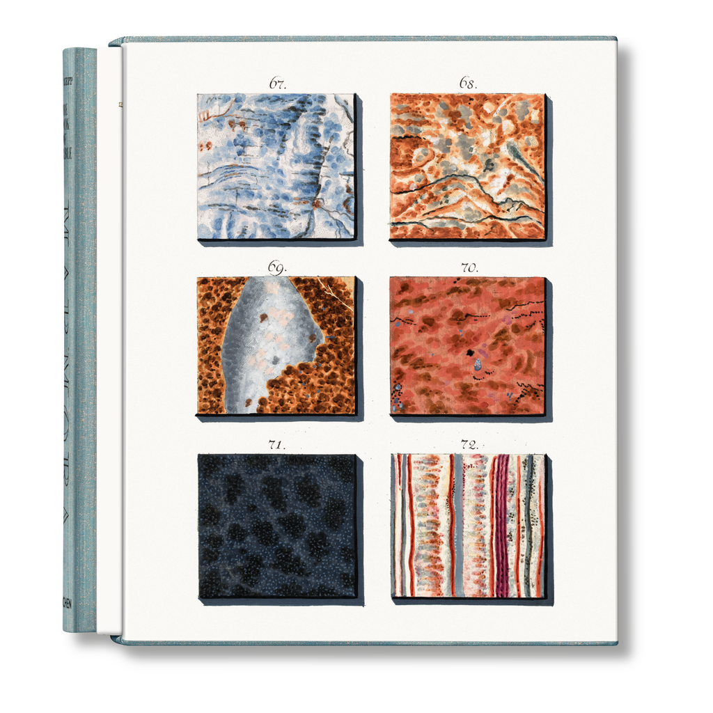 Jan Christiaan Sepp: The Book of Marble (German, French, English)