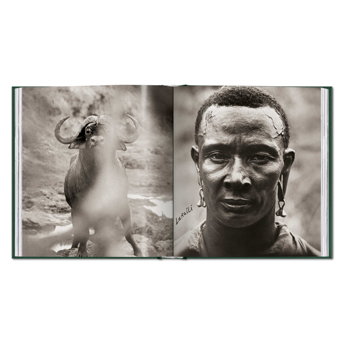 Peter Beard. The End of the Game (English)