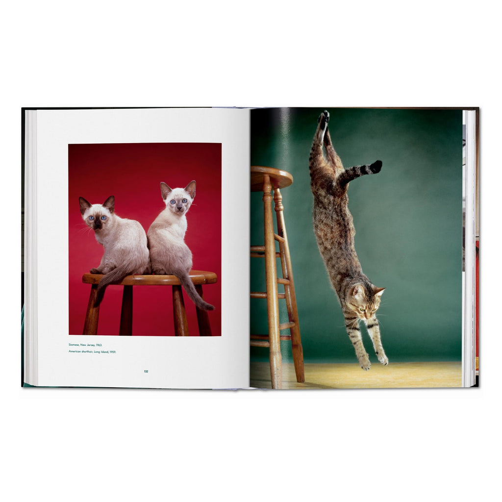 Walter Chandoha: Cats, Photographs 1942–2018 (German, French, English)