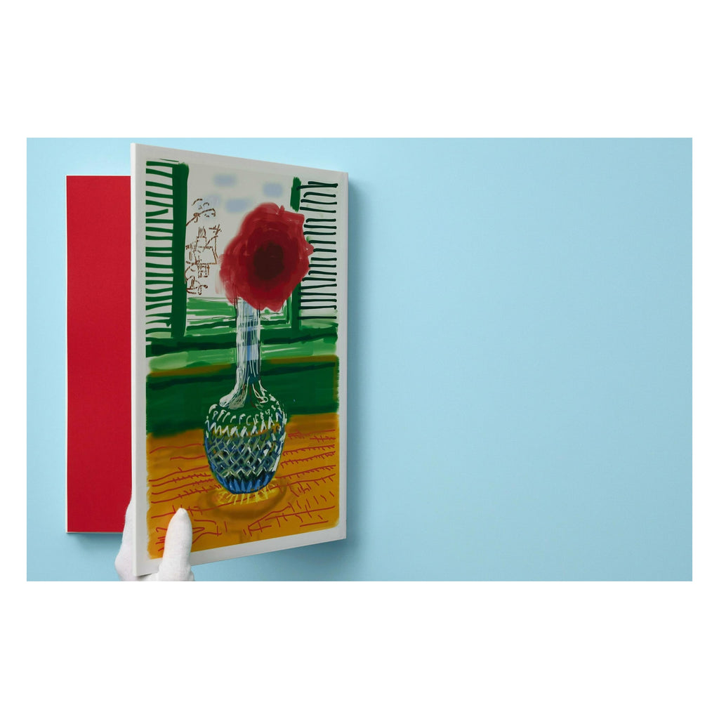 David Hockney: My Window