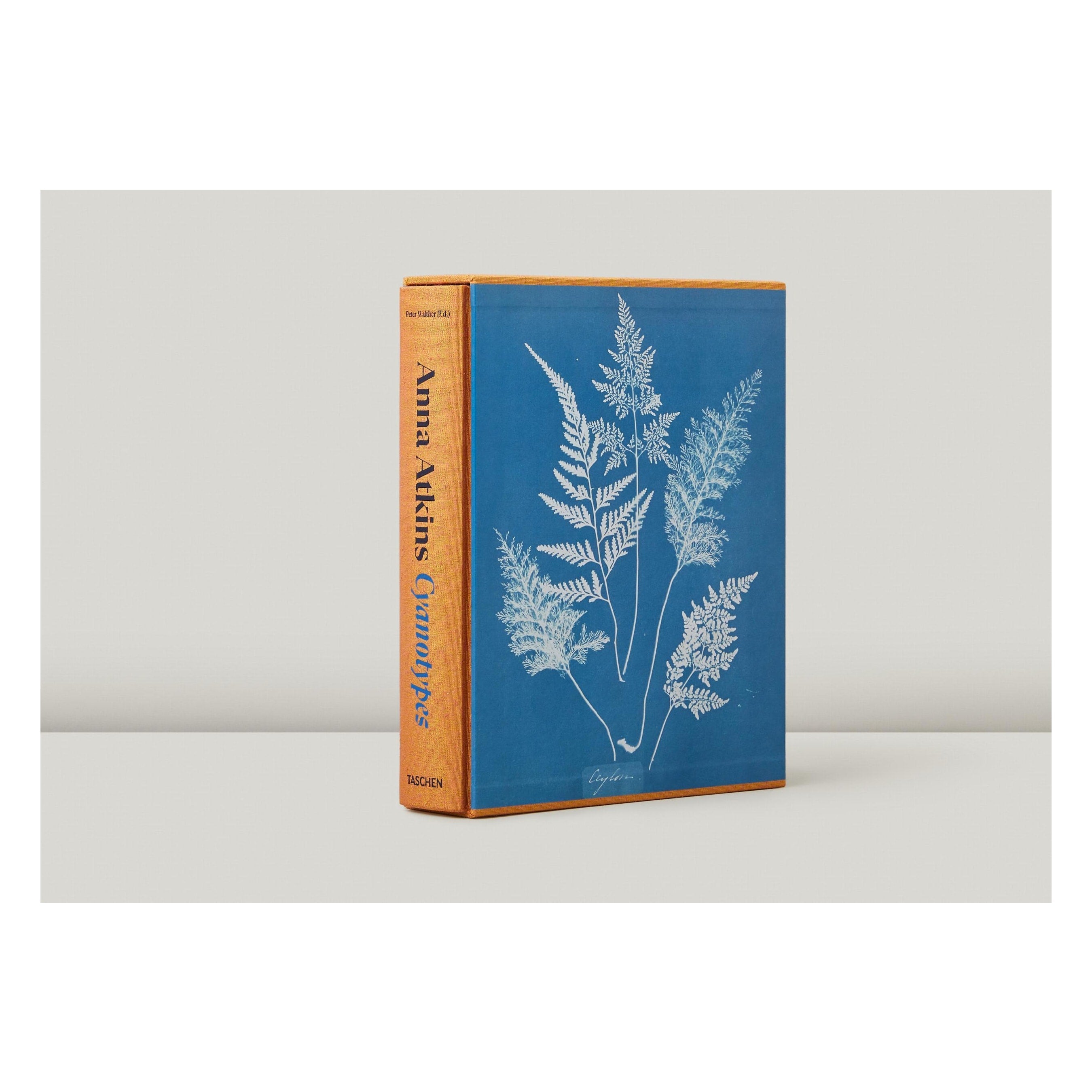 Anna Atkins. Cyanotypes (German, French, English)