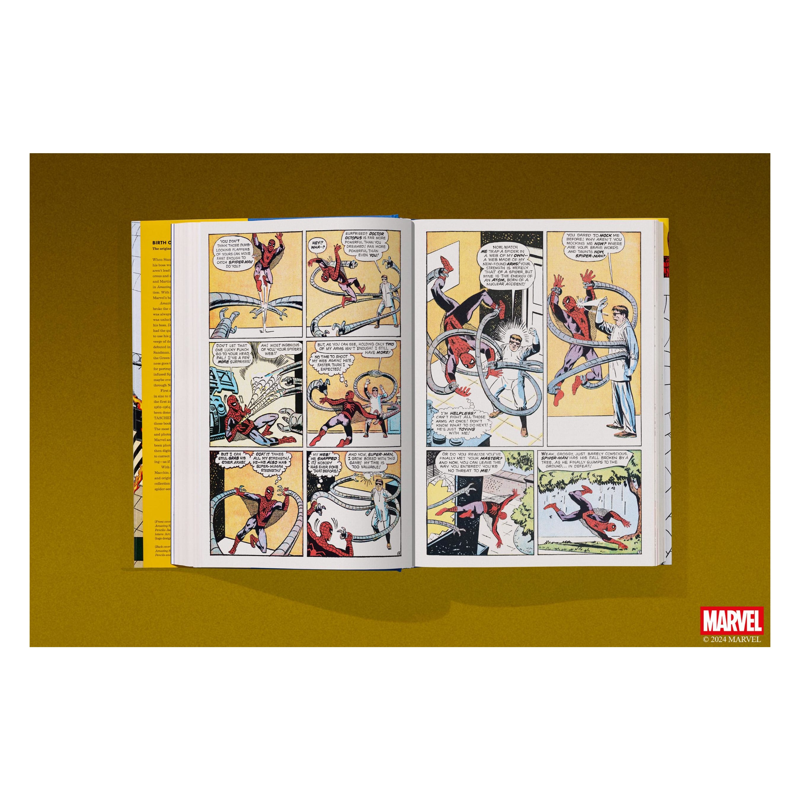 Marvel Comics Library: Spider-Man. 1962–1964