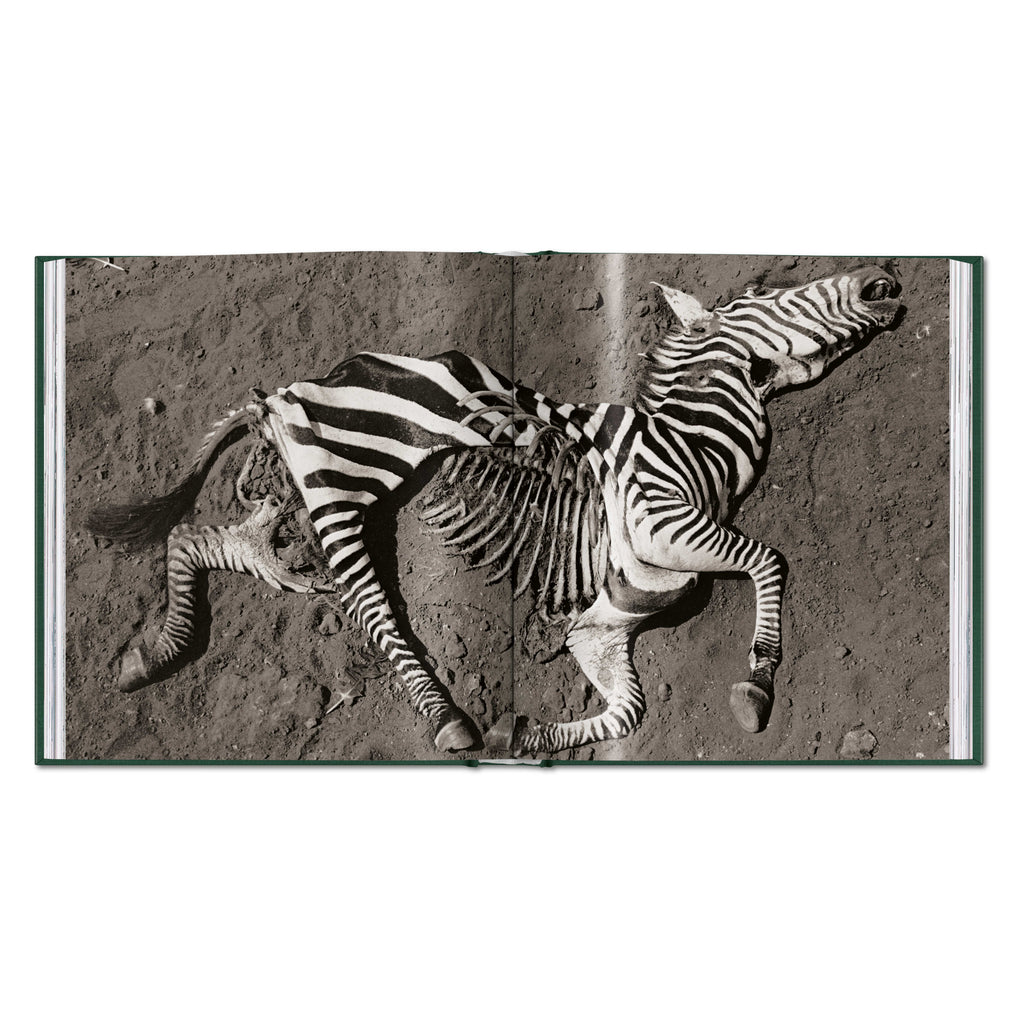 Peter Beard. The End of the Game (English)