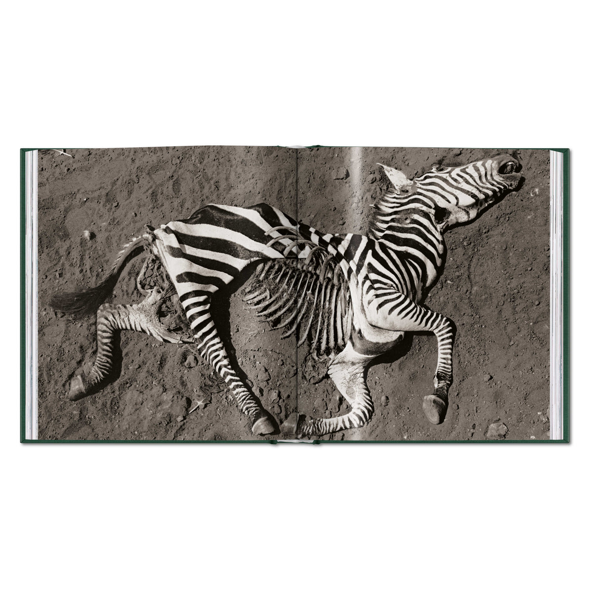 Peter Beard. The End of the Game (English)