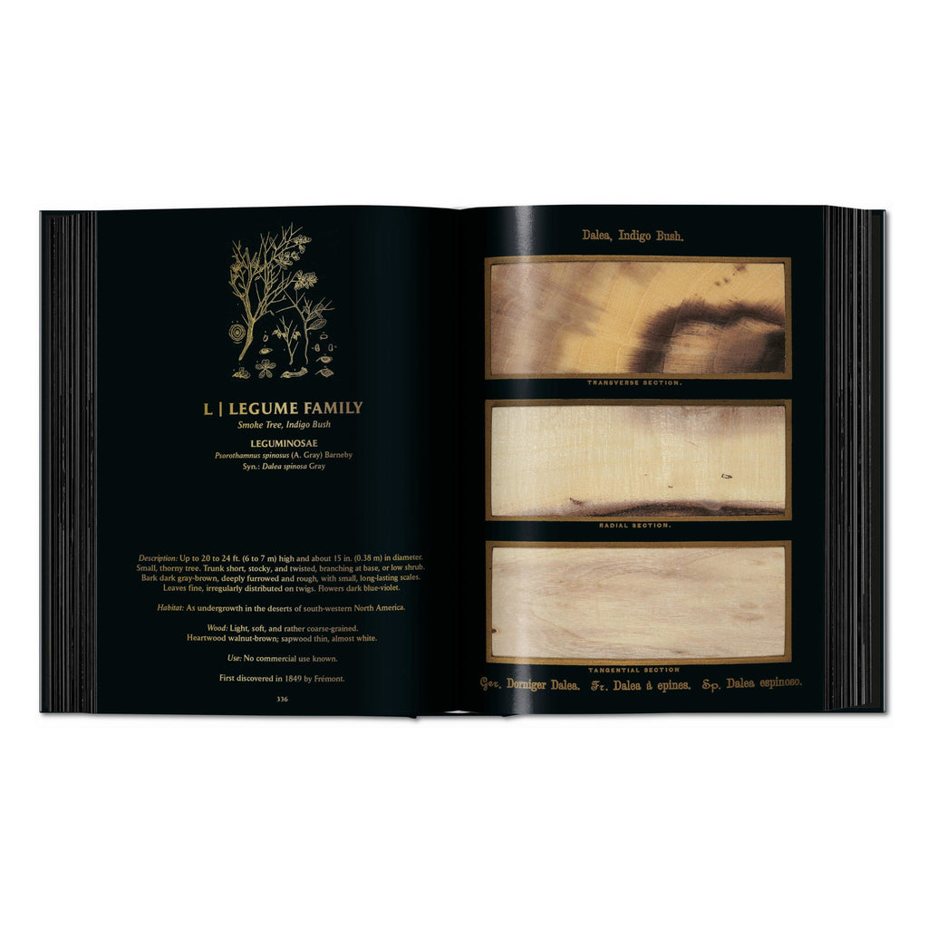 Romeyn B. Hough: The Woodbook. The Complete Plates