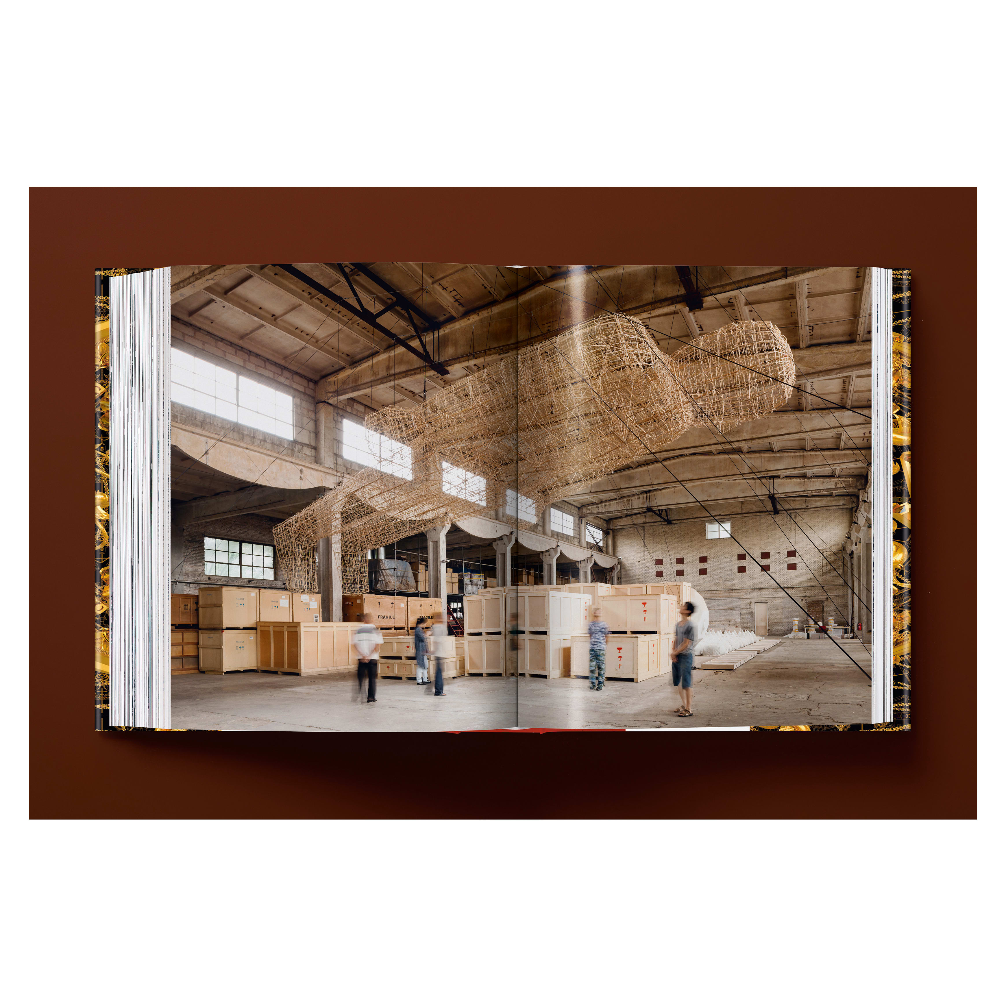 Ai Weiwei: Updated Edition (German, French, English)