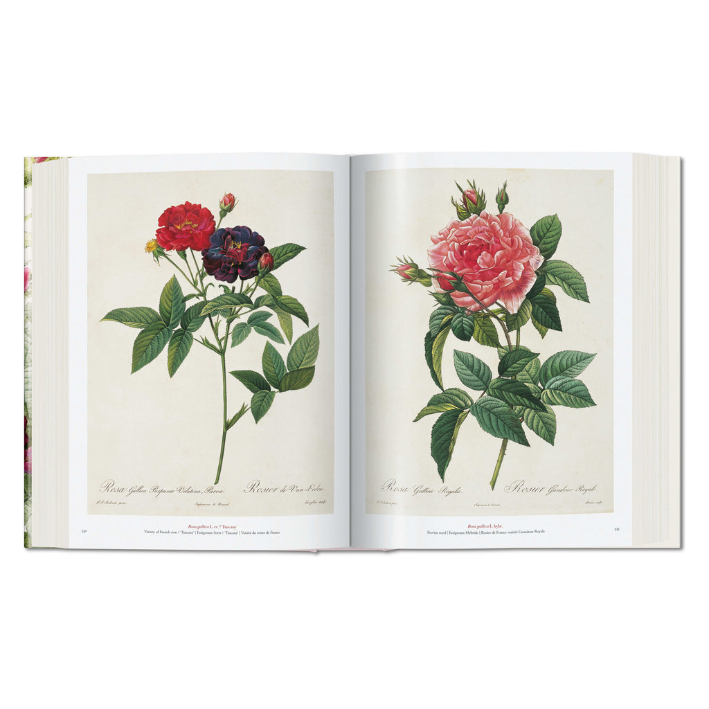 Redouté: The Book of Flowers (German, French, English)