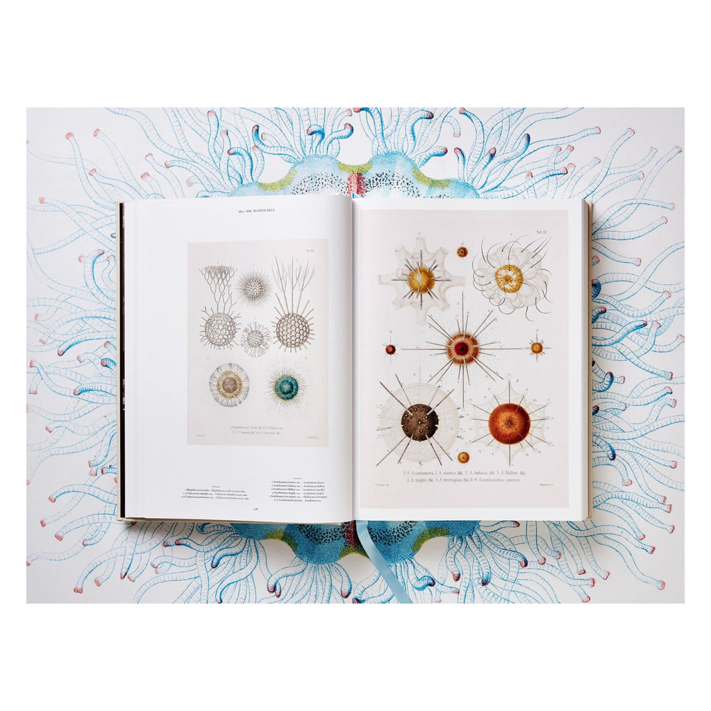 The Art and Science of Ernst Haeckel (German, French, English)