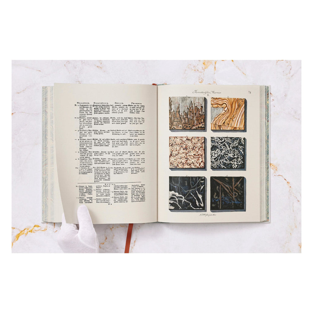 Jan Christiaan Sepp: The Book of Marble (German, French, English)