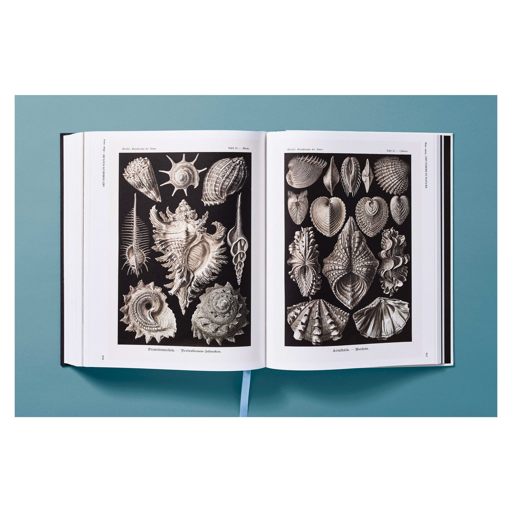 The Art and Science of Ernst Haeckel (German, French, English)