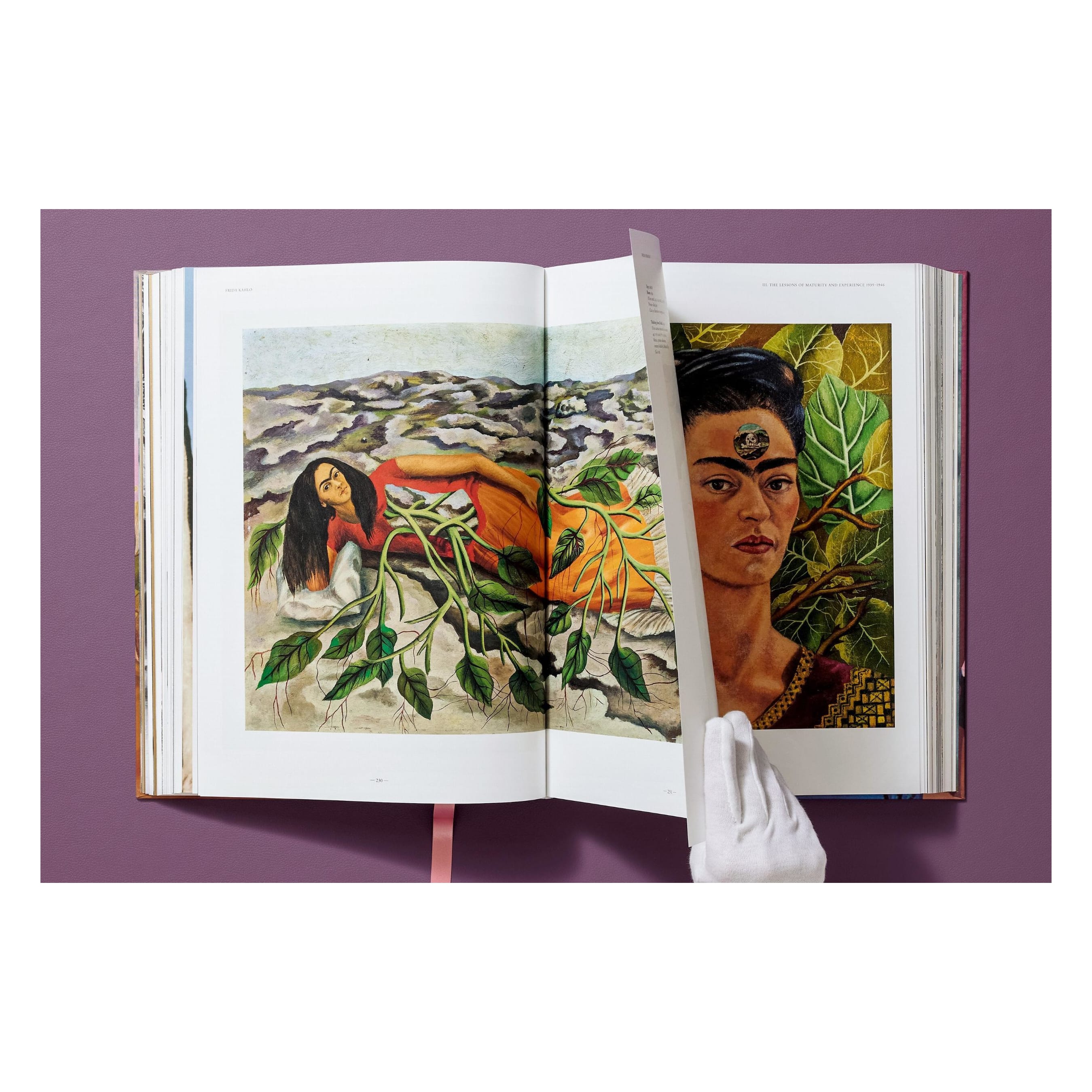 Frida Kahlo: The Complete Paintings