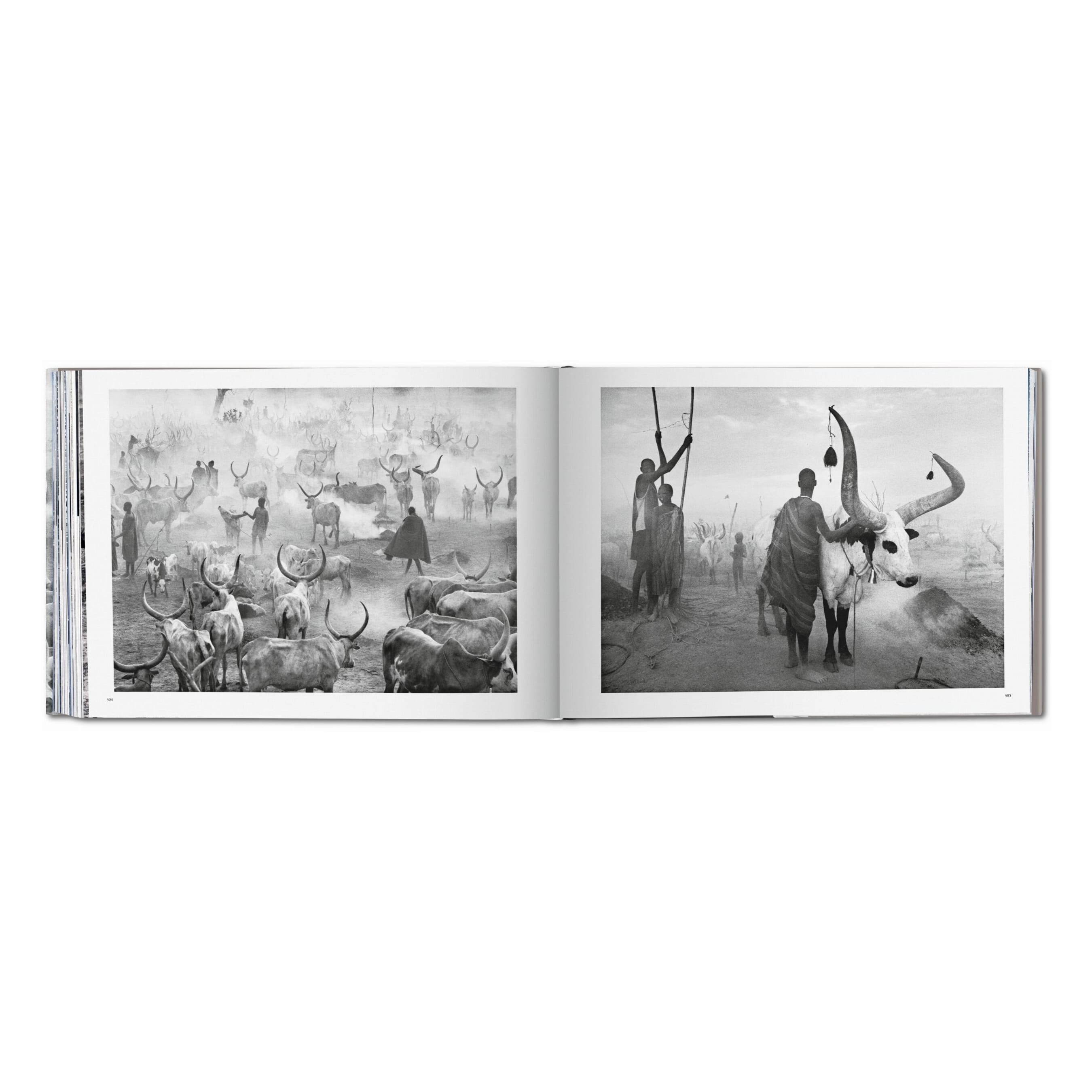 Sebastião Salgado: Africa (German, French, English)