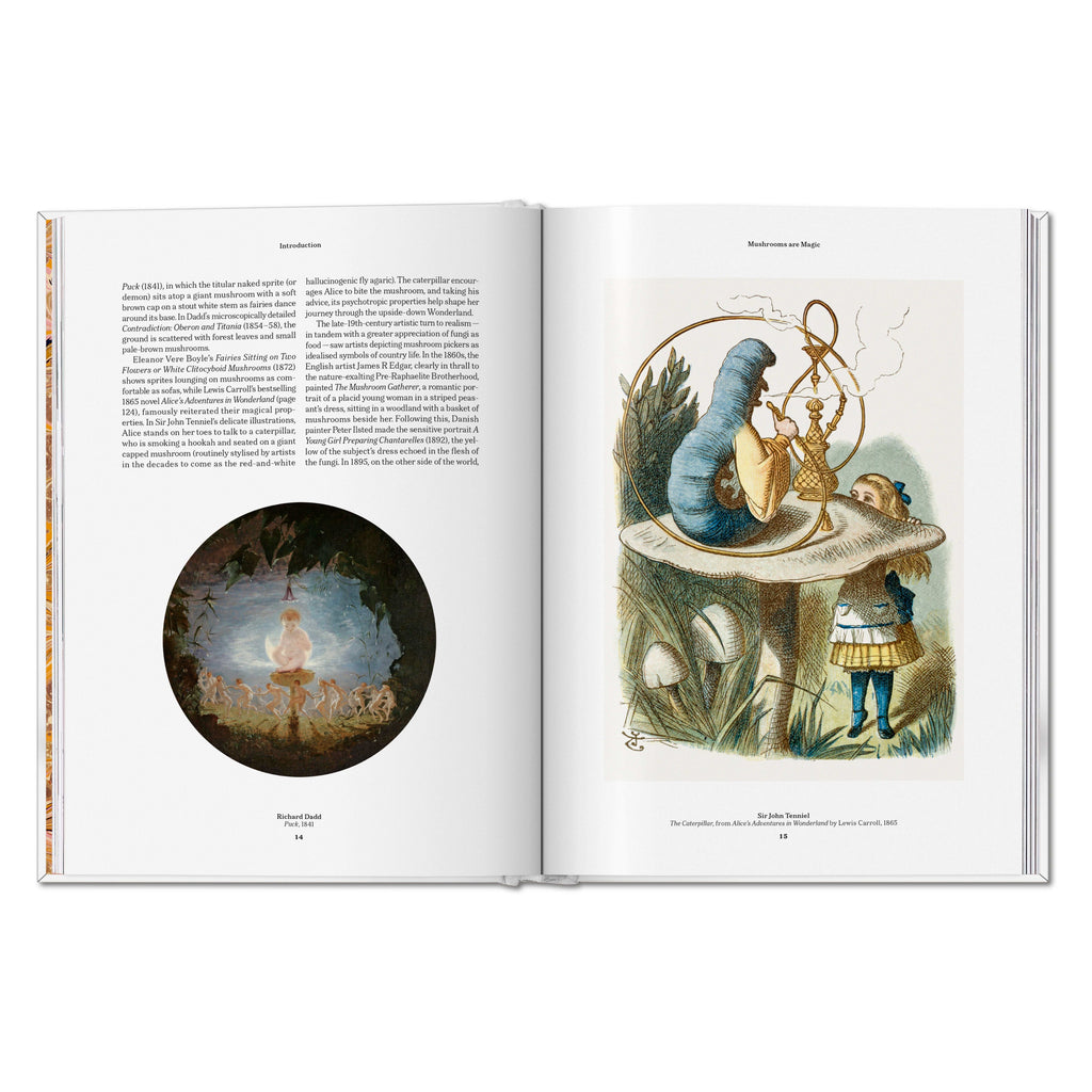 The Gourmand's Mushroom: A Collection of Stories and Recipes (English)