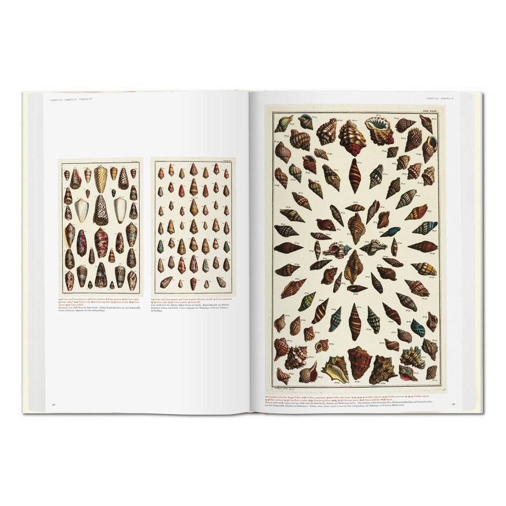 Seba: Cabinet of Natural Curiosities (German, French, English)