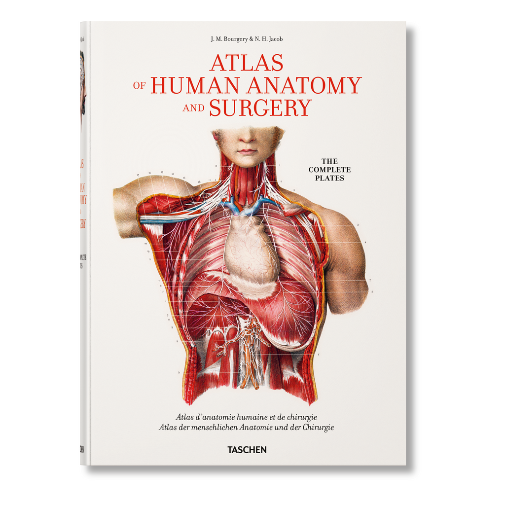 Bourgery: Atlas of Human Anatomy and Surgery (German, French, English)