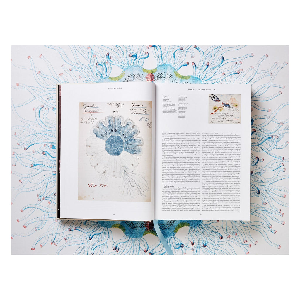 The Art and Science of Ernst Haeckel (German, French, English)