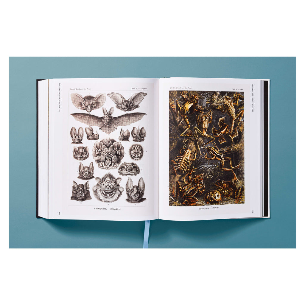 The Art and Science of Ernst Haeckel (German, French, English)