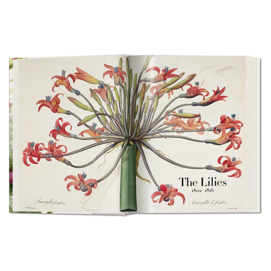 Redouté: The Book of Flowers (German, French, English)