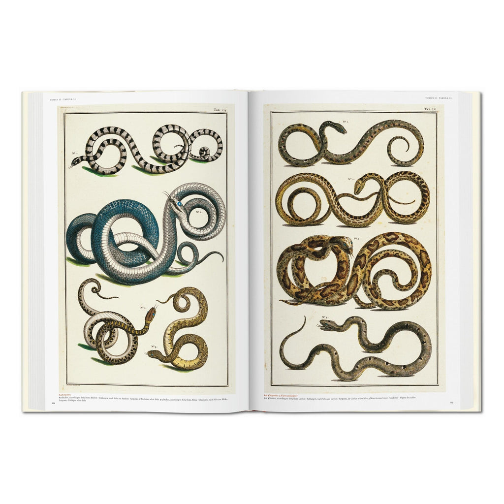 Seba: Cabinet of Natural Curiosities (German, French, English)
