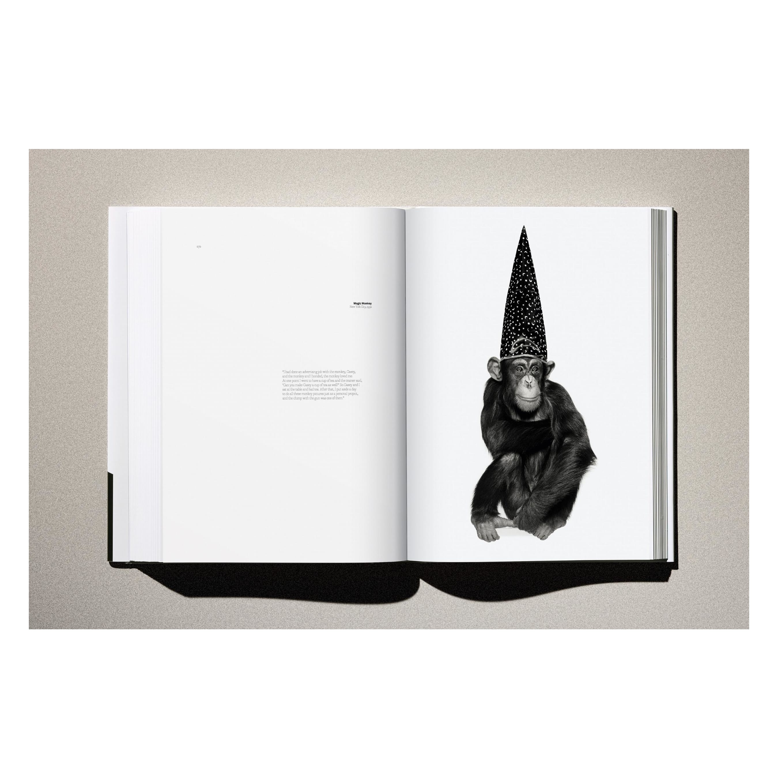 Albert Watson: Kaos (German, French, English)