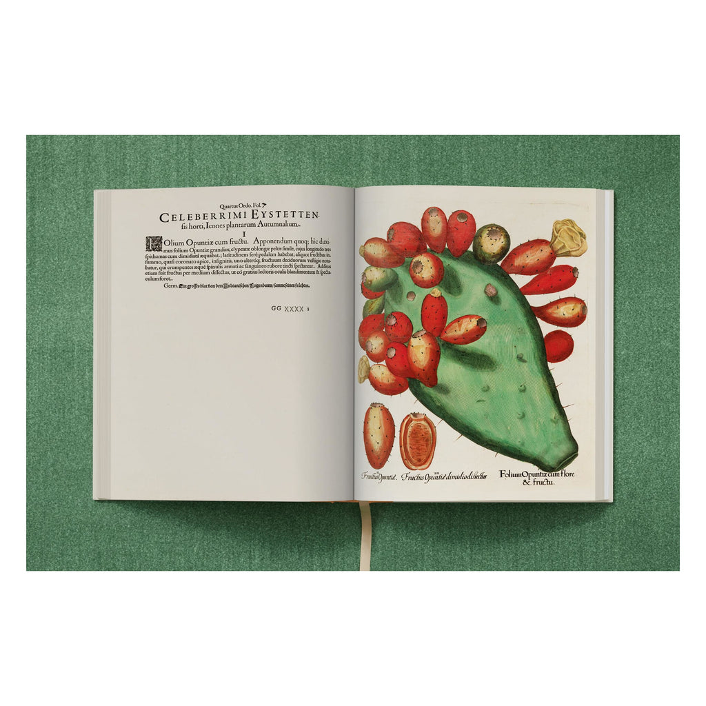 Basilius Besler: The Garden at Eichstätt (German, French, English)