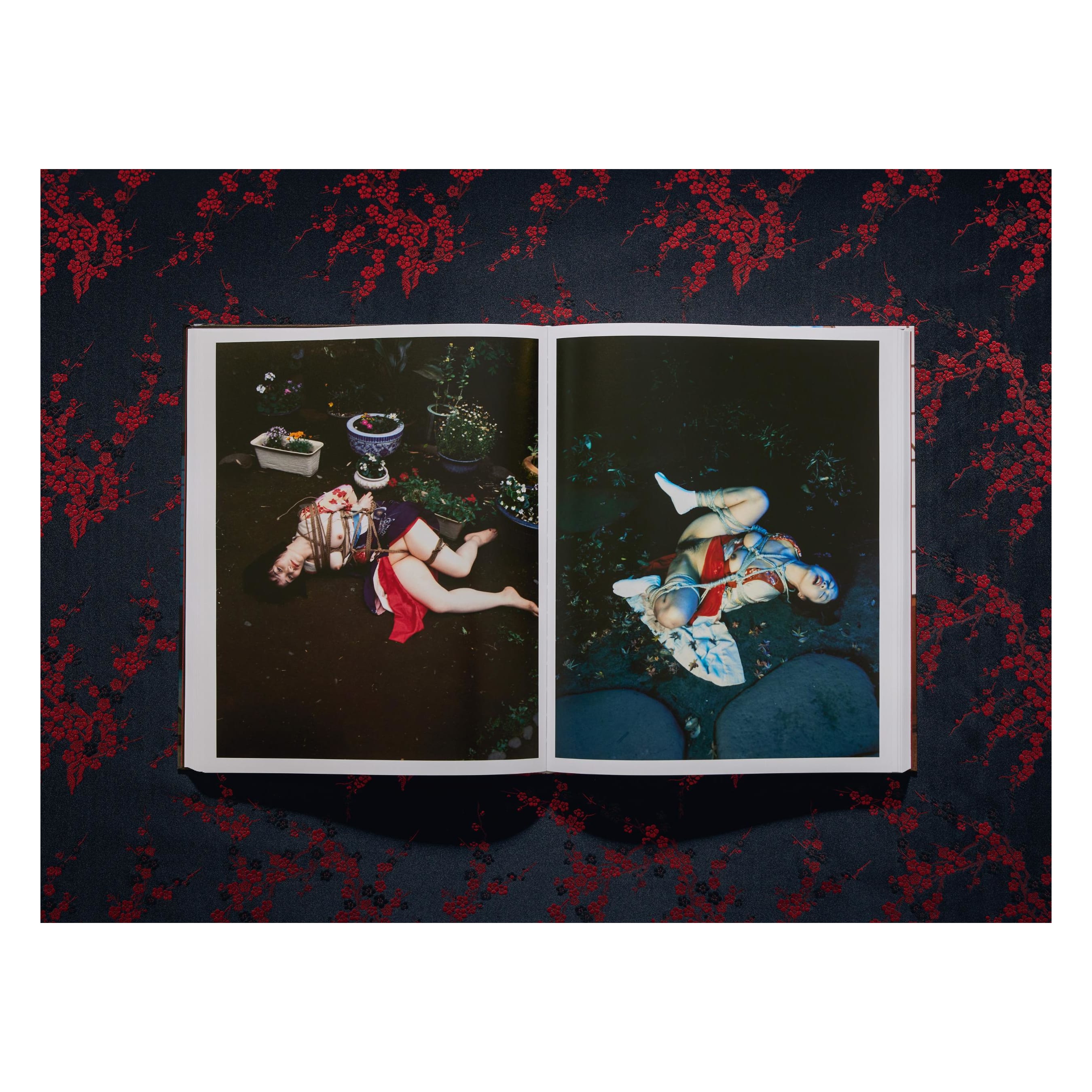 Araki: Bondage