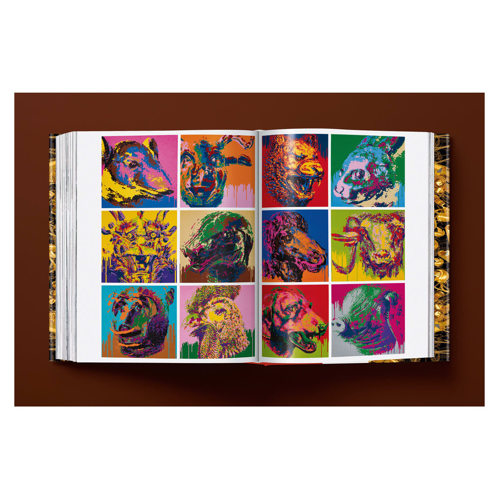 Ai Weiwei: Updated Edition (German, French, English)