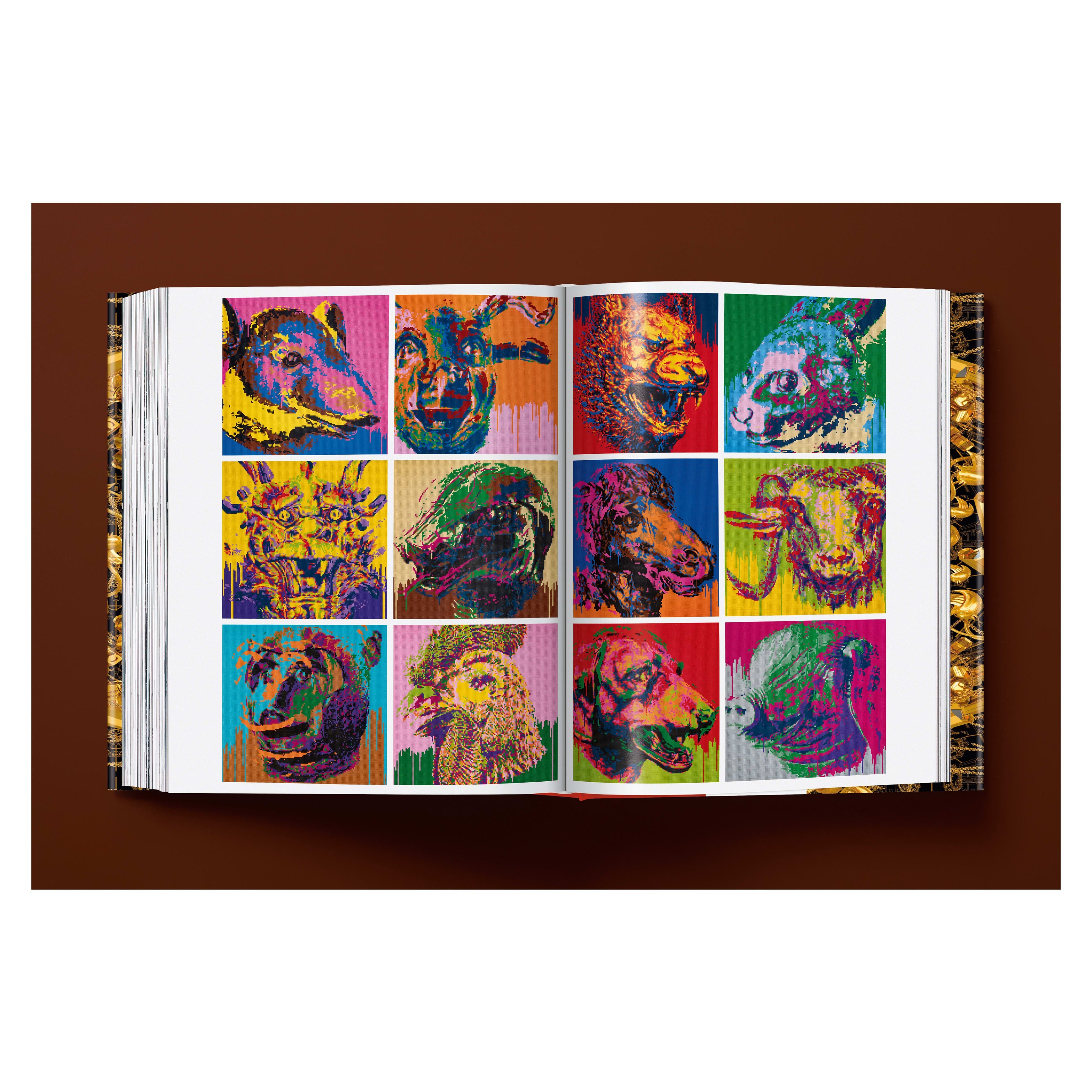 Ai Weiwei: Updated Edition (German, French, English)