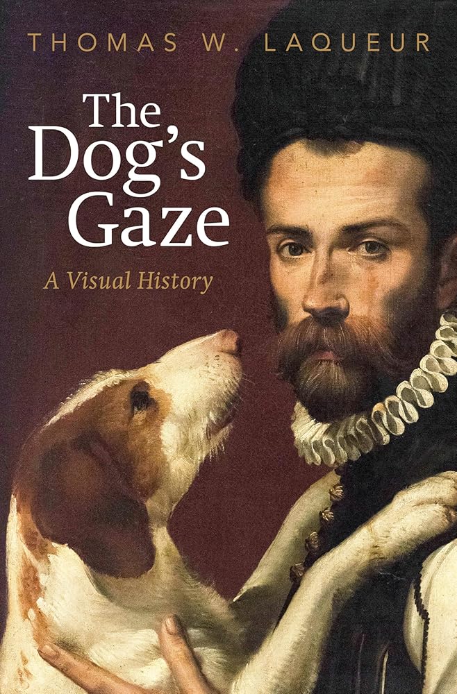 The Dog's Gaze: A Visual History cover image