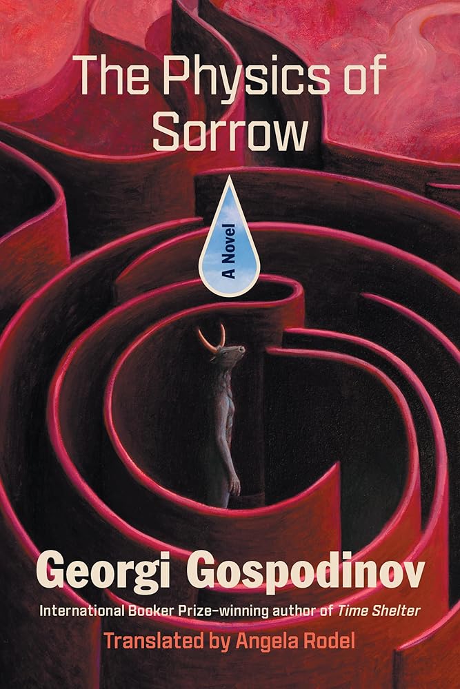 The Physics of Sorrow: A Novel cover image