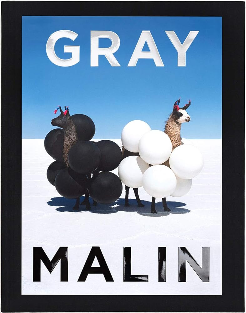 Gray Malin: Sun-drenched aerial beach scenes, glamorous pools, and wanderlust-inducing travel photography. cover image