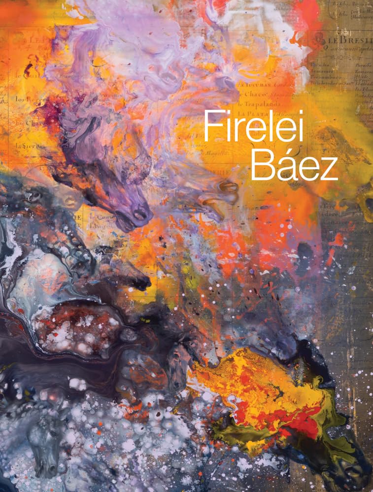Firelei Báez cover image