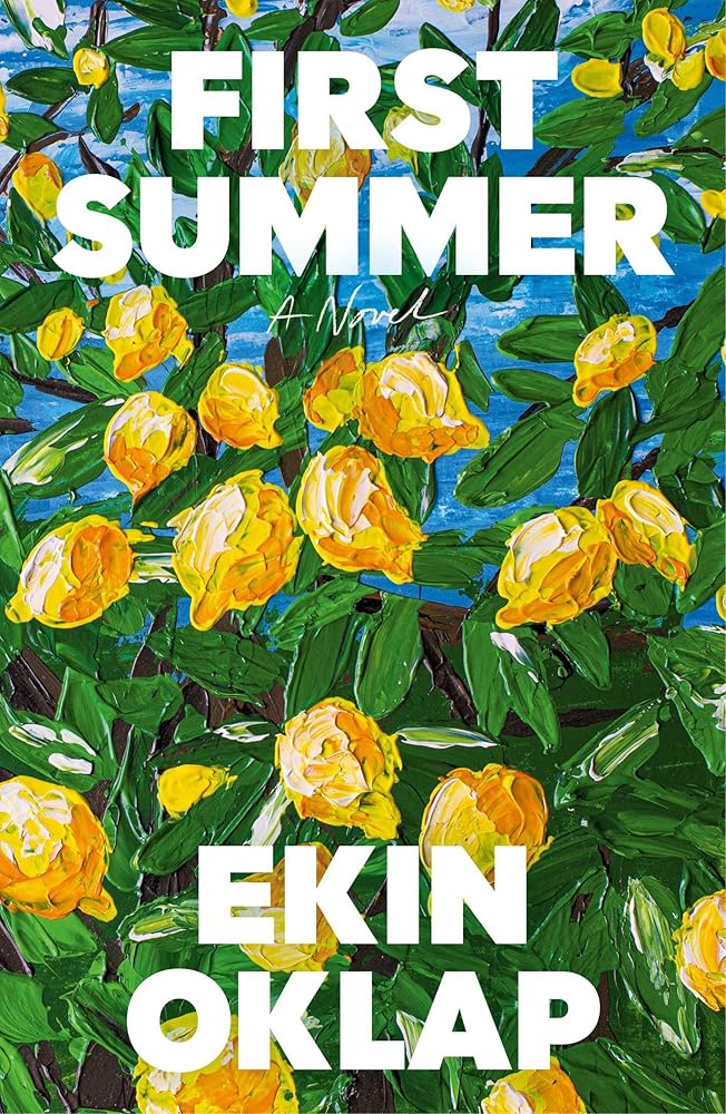 First Summer: A Novel cover image