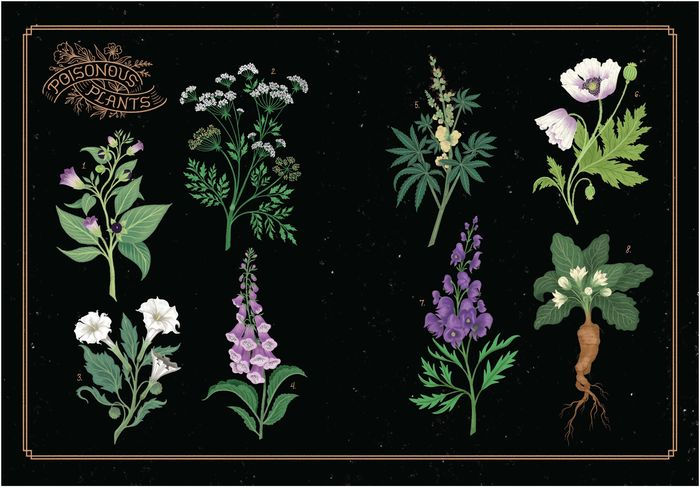 League of Lady Poisoners: Illustrated True Stories of Dangerous Women