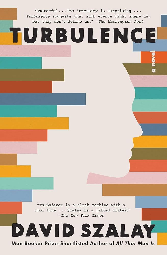 Turbulence: A Novel cover image