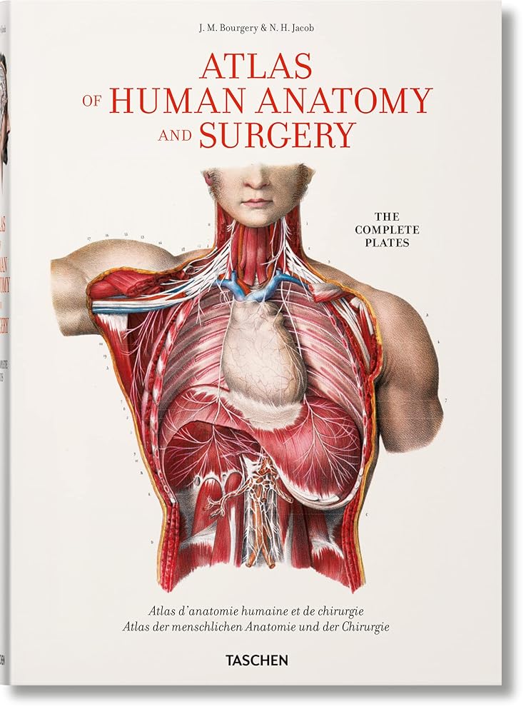 Bourgery. Atlas of Human Anatomy and Surgery cover image
