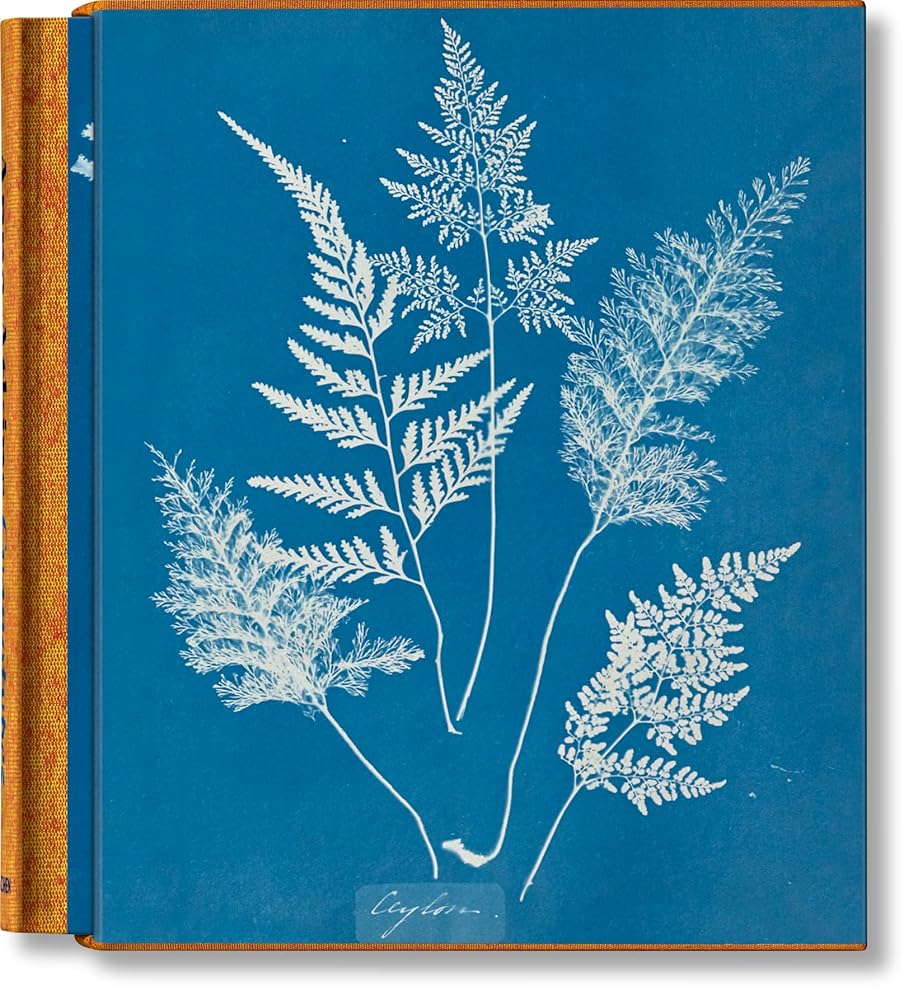 Anna Atkins: Cyanotypes cover image