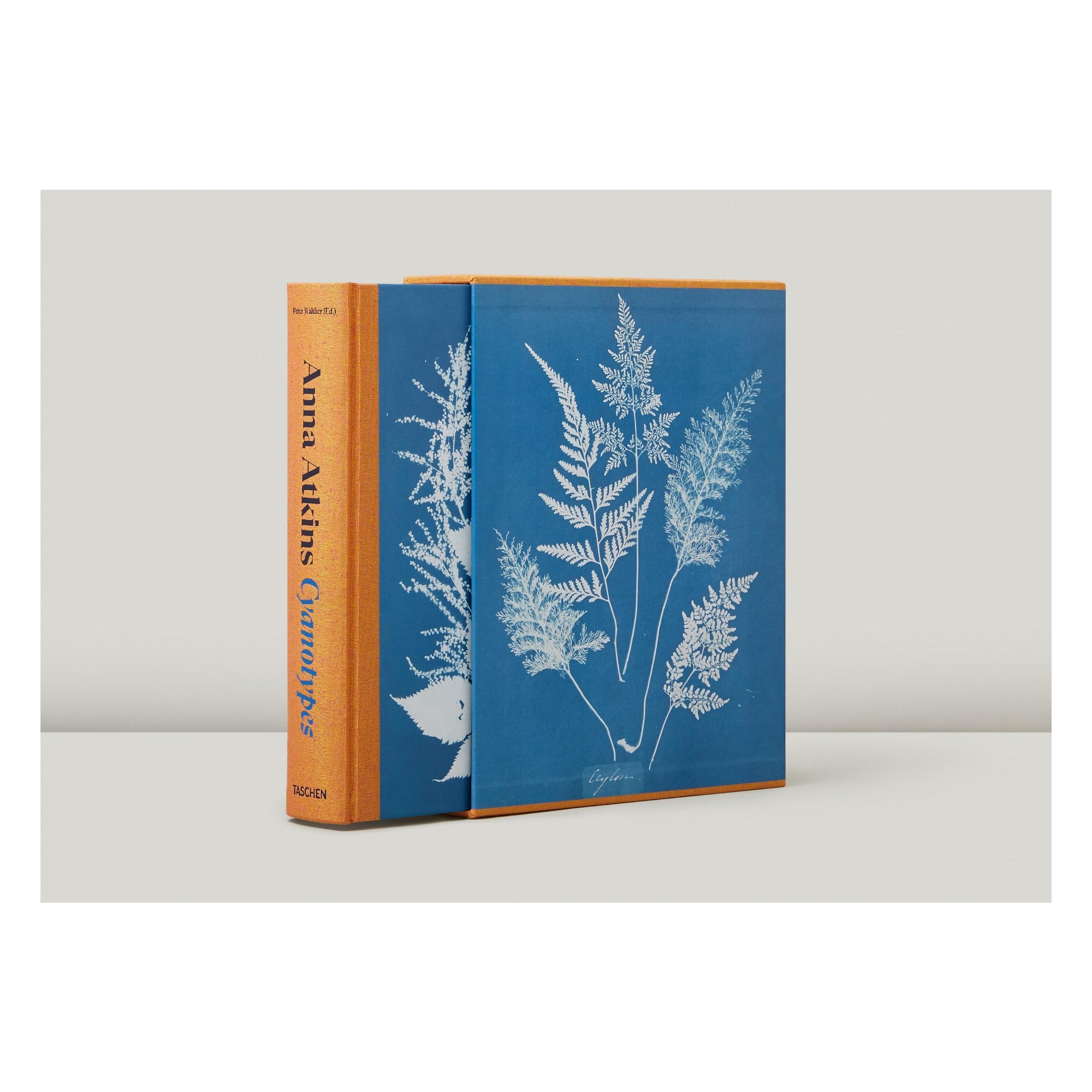 Anna Atkins. Cyanotypes (German, French, English)