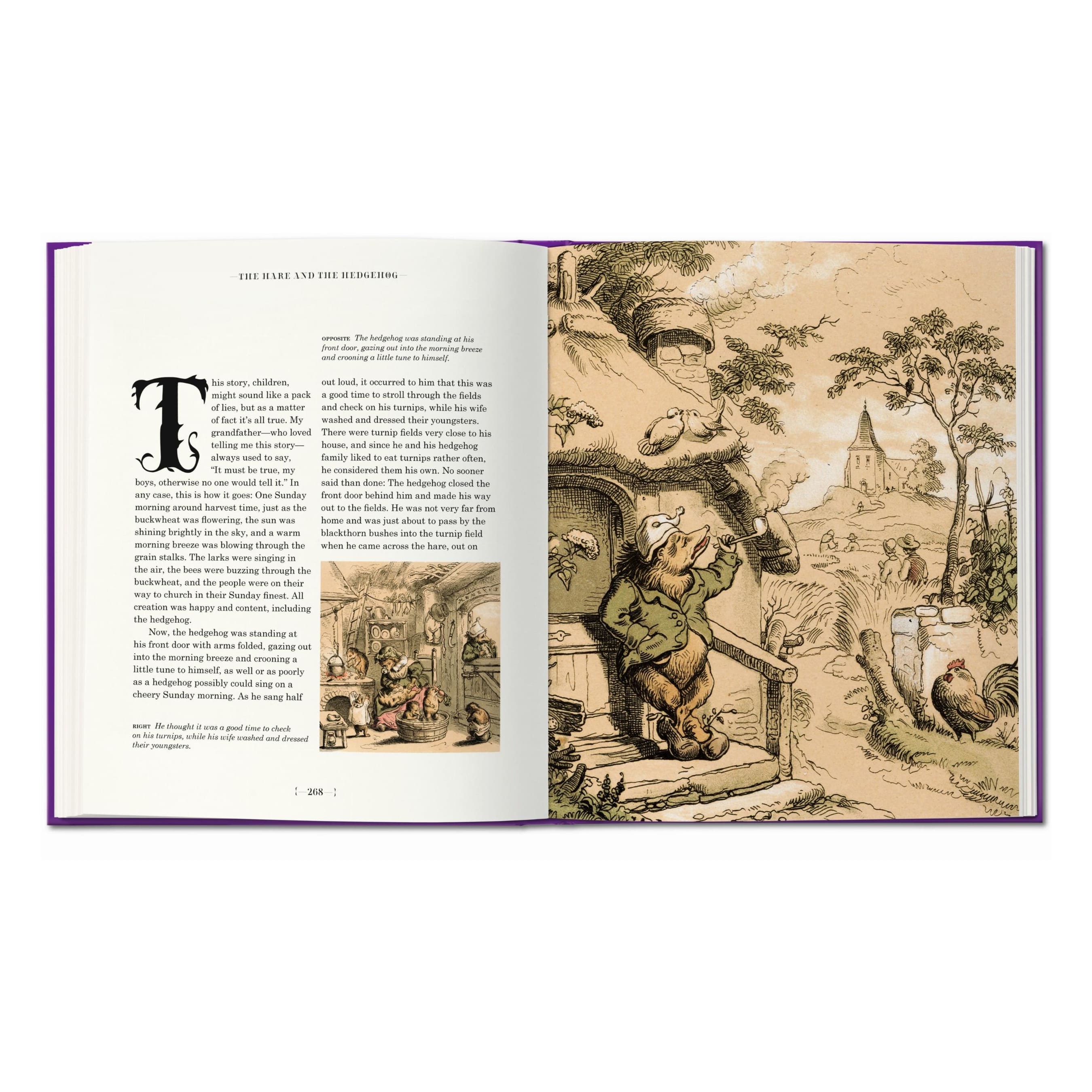 The Fairy Tales of the Brothers Grimm