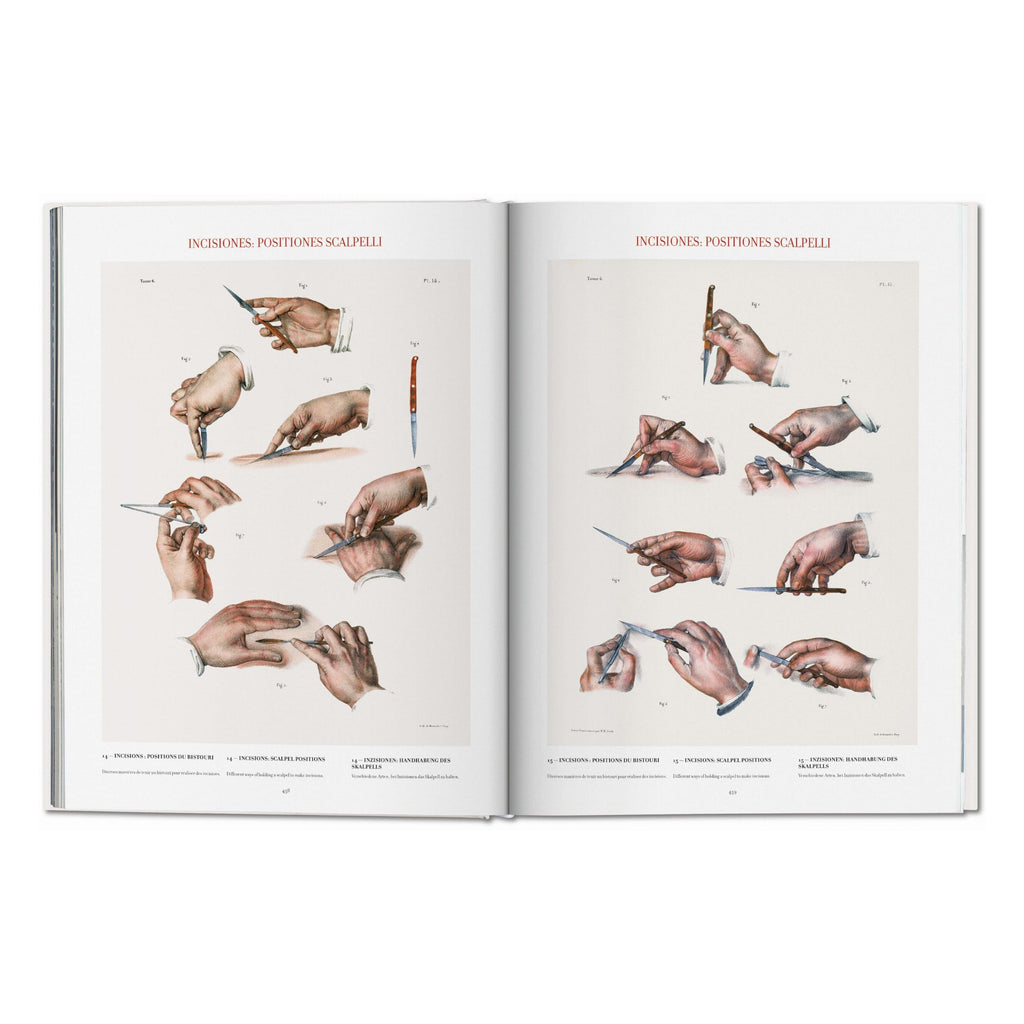Bourgery: Atlas of Human Anatomy and Surgery (German, French, English)