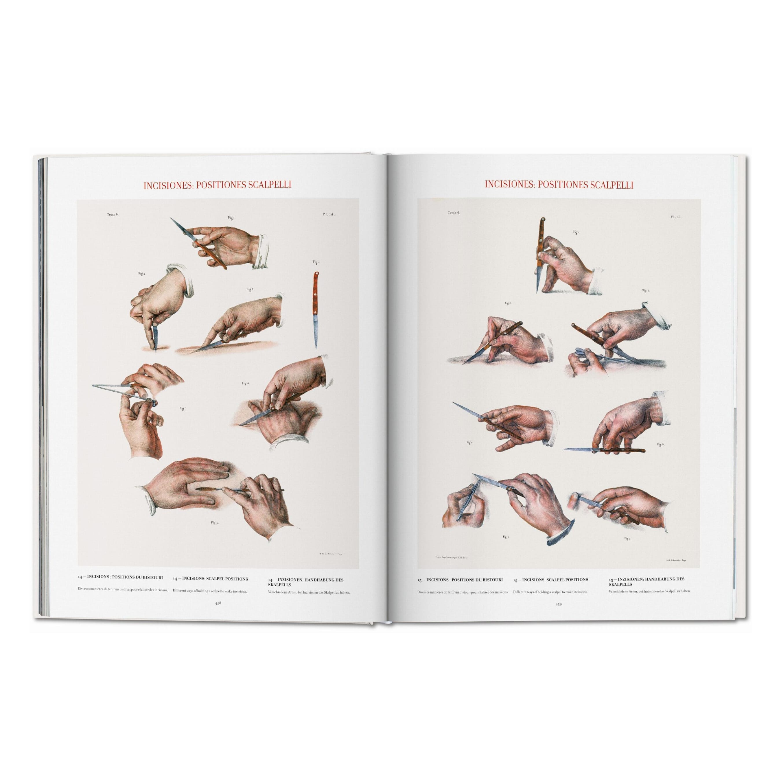 Bourgery: Atlas of Human Anatomy and Surgery (German, French, English)