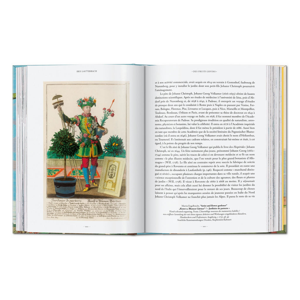 J. C. Volkamer: The Book of Citrus Fruits, 45th Ed. (German, French, English)