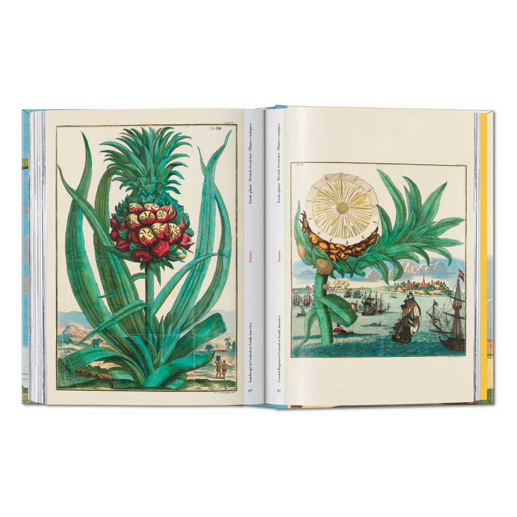 J. C. Volkamer: The Book of Citrus Fruits, 45th Ed. (German, French, English)