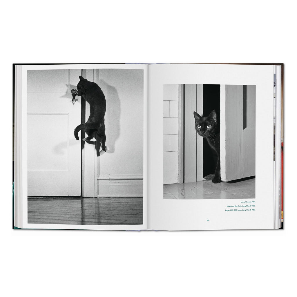 Walter Chandoha: Cats, Photographs 1942–2018 (German, French, English)