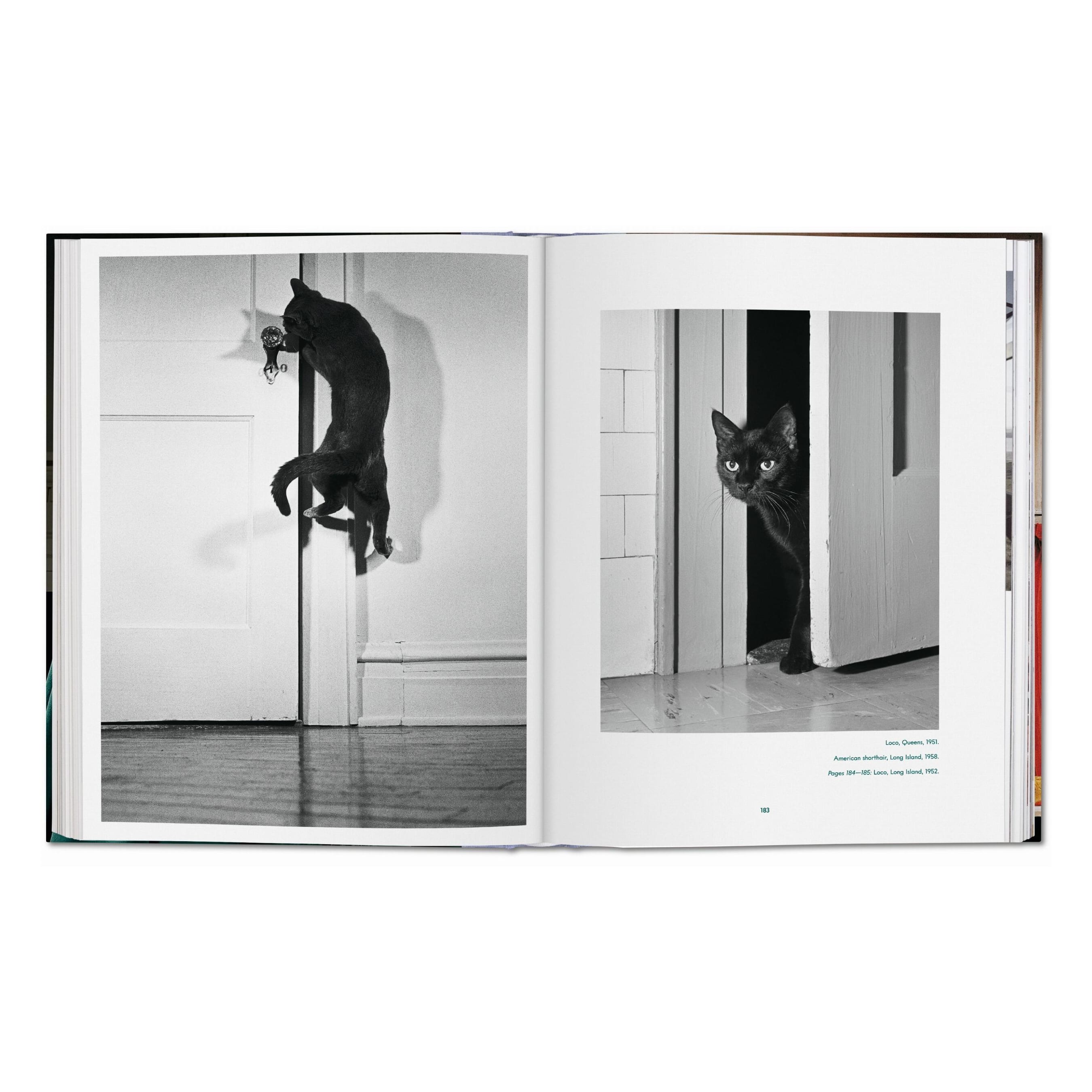 Walter Chandoha: Cats, Photographs 1942–2018 (German, French, English)