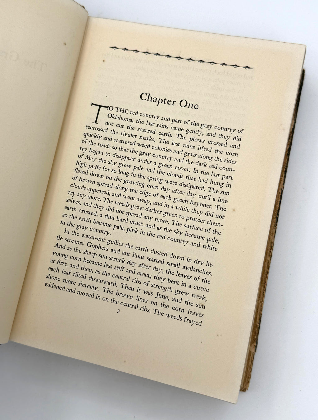The Grapes of Wrath — First Edition, First Printing (1939)