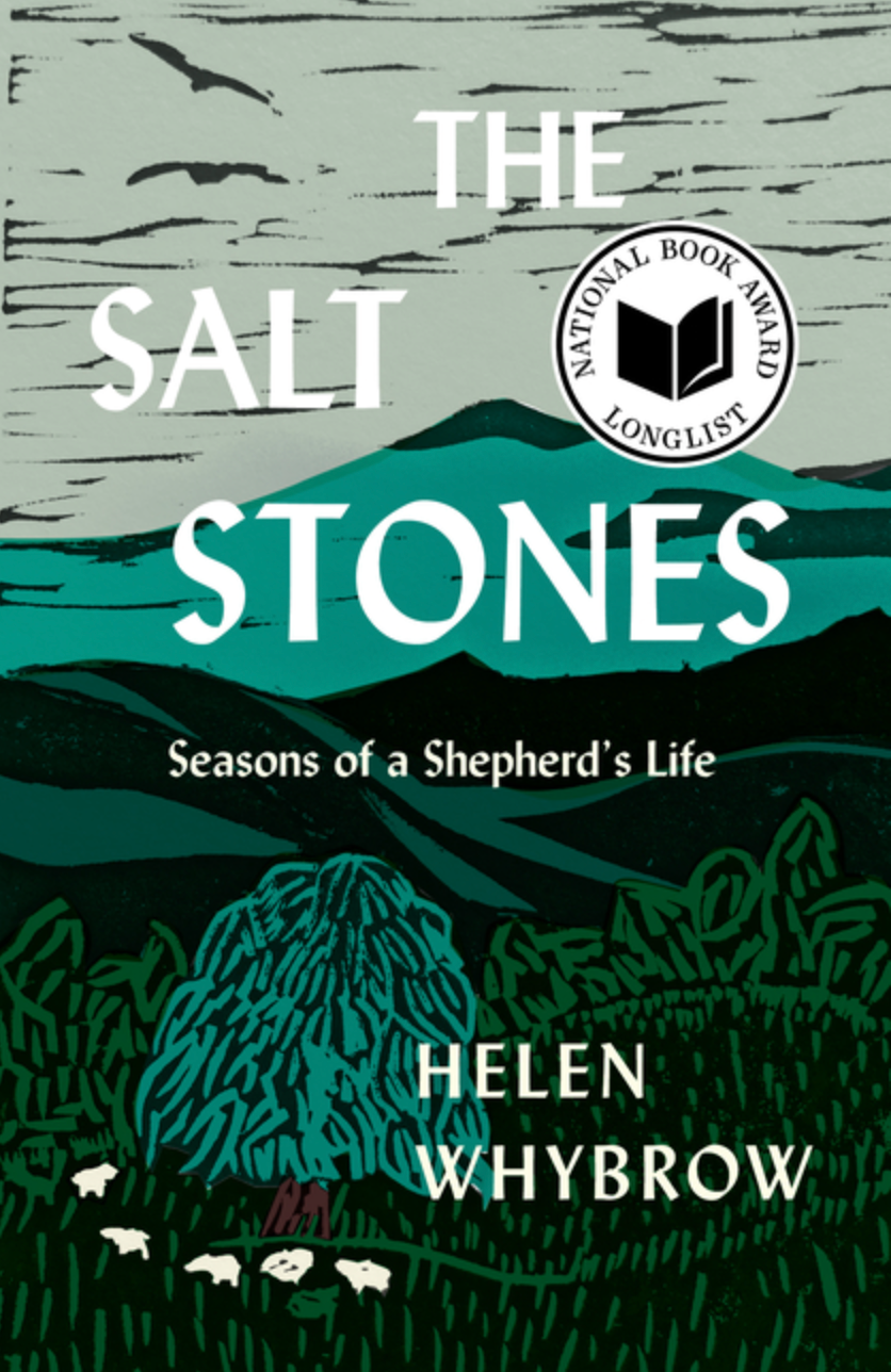 Salt Stones by Helen Whybrow